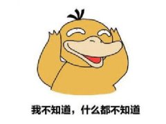 fifa world cup翻譯